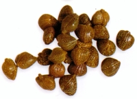 Kappertjes Kappertjes